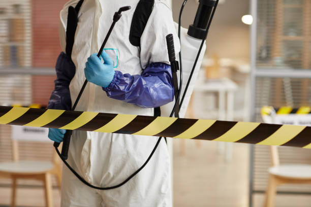 Professional Sewage Cleanup technician working in Indian Springs, NV
