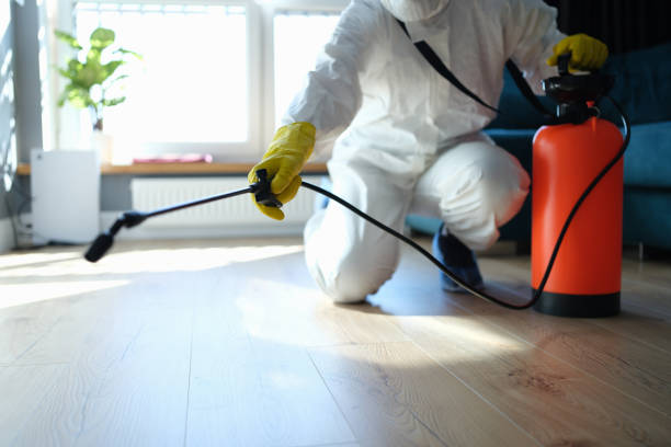 Reliable Sewage Cleanup contractor in Indian Springs, NV by Trauma Clean Pros